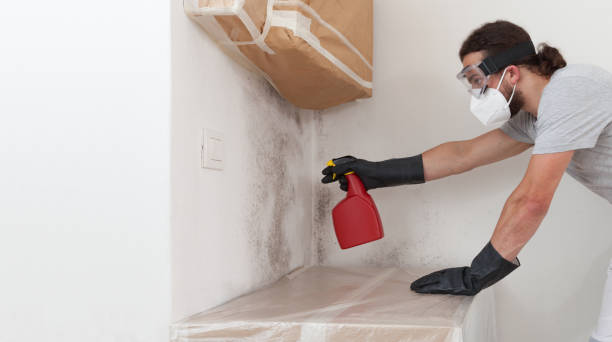 Professional Mold Remediation technician working in Leonia, NJ