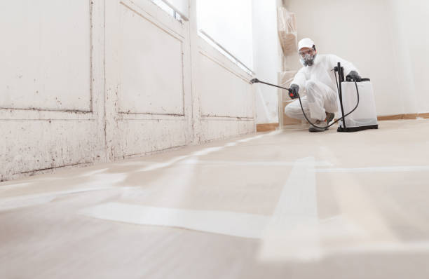 24/7 Emergency Mold Remediation experts in Leonia, NJ