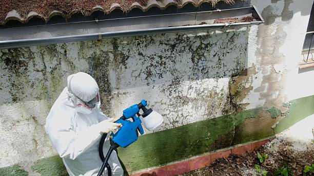 Top rated local Mold Remediation specialists in Leonia, NJ